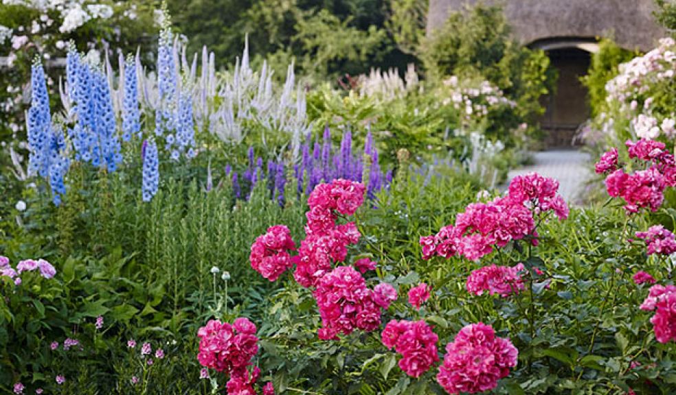 RHS Garden Rosemoor announces autumn programme The Exeter Daily